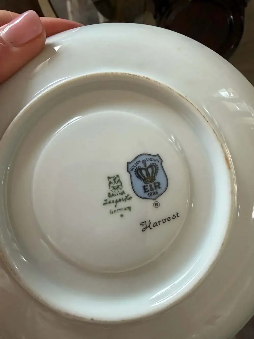 PMR Bavaria Jaeger & Co. Golden Crown E&R Harvest Fruit and Nut Teacup and Sauce
